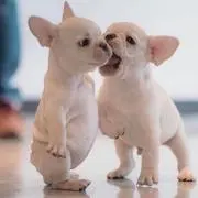 maaaaan☆