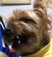 るなぽん·͜·ᰔᩚの画像