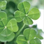 虎太郎虎次郎オンマ