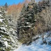 kntawrjdap24の画像