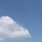 パンダの画像
