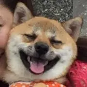 わらわら