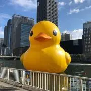 やすの画像