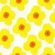 mimaの画像