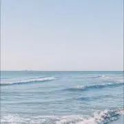 ねおん。の画像