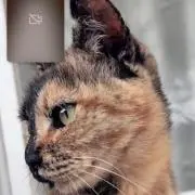 いでも☺︎☺︎の画像