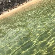 mocoの画像