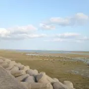 Image of 青空SHOP