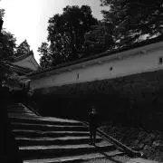 tashikenの画像