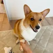 りなの画像