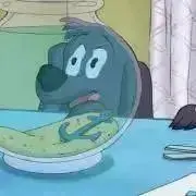 しまちゃんの画像