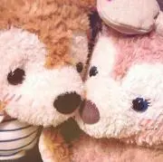 momoの画像