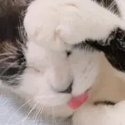 ういの画像