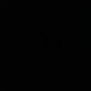 ブラックブラック