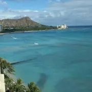 hawaii♡プロフィールをご覧くださいの画像