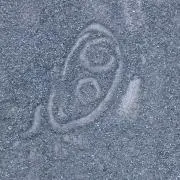 ゆうの画像