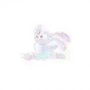 KiKiの画像