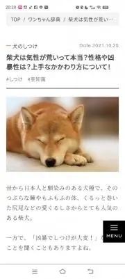 はなちゃんの画像