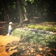 りんごの画像