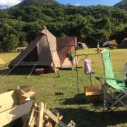 jangleの画像