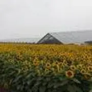 Iwachanの画像