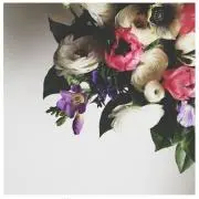 かぼすの画像