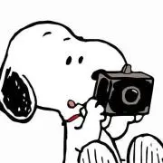 eangleの画像