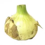 HA L