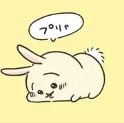 Urayahaの画像