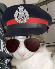 ゆきまるちゃん