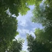 ゆーの画像