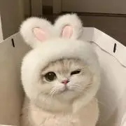 ❁﻿の画像