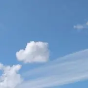 マドレーヌの画像