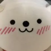 Mimiの画像