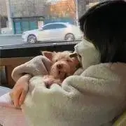 ユアの画像