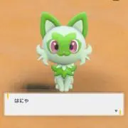 chamjの画像