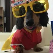 しほ★の画像