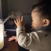 JUNIの画像