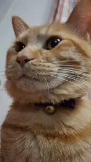 えあぶ