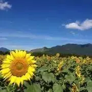 maryの画像
