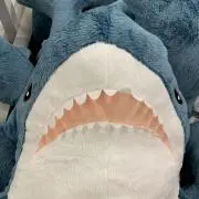 とにーの画像