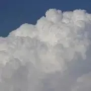 YTTOF