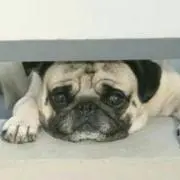 こころの画像