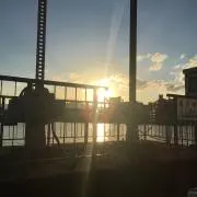 tamazonの画像
