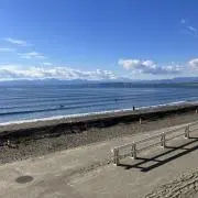 サウスの画像