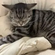 nanaの画像