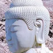 大仏の画像