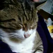 こうちゃんマム