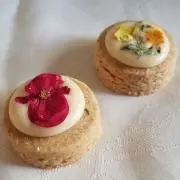 SHIPOの画像