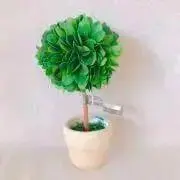 ひらけいの画像